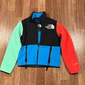 The North Face Blue Fleece Jacket